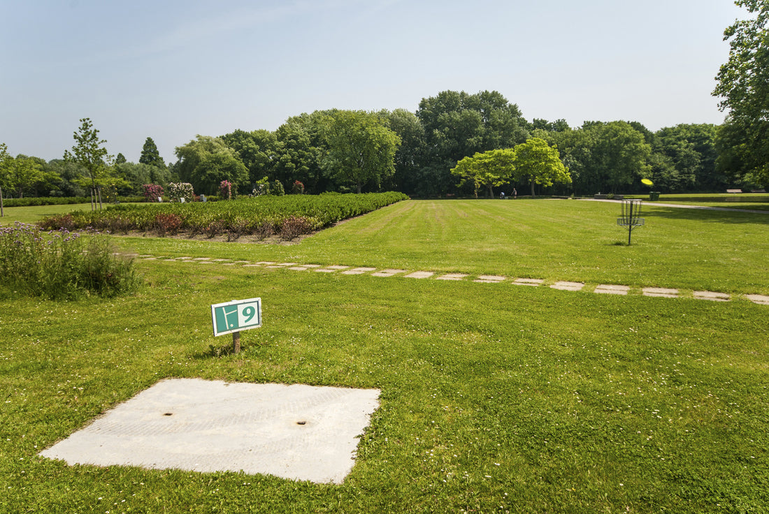 5 Reasons Why You Should Play Disc Golf