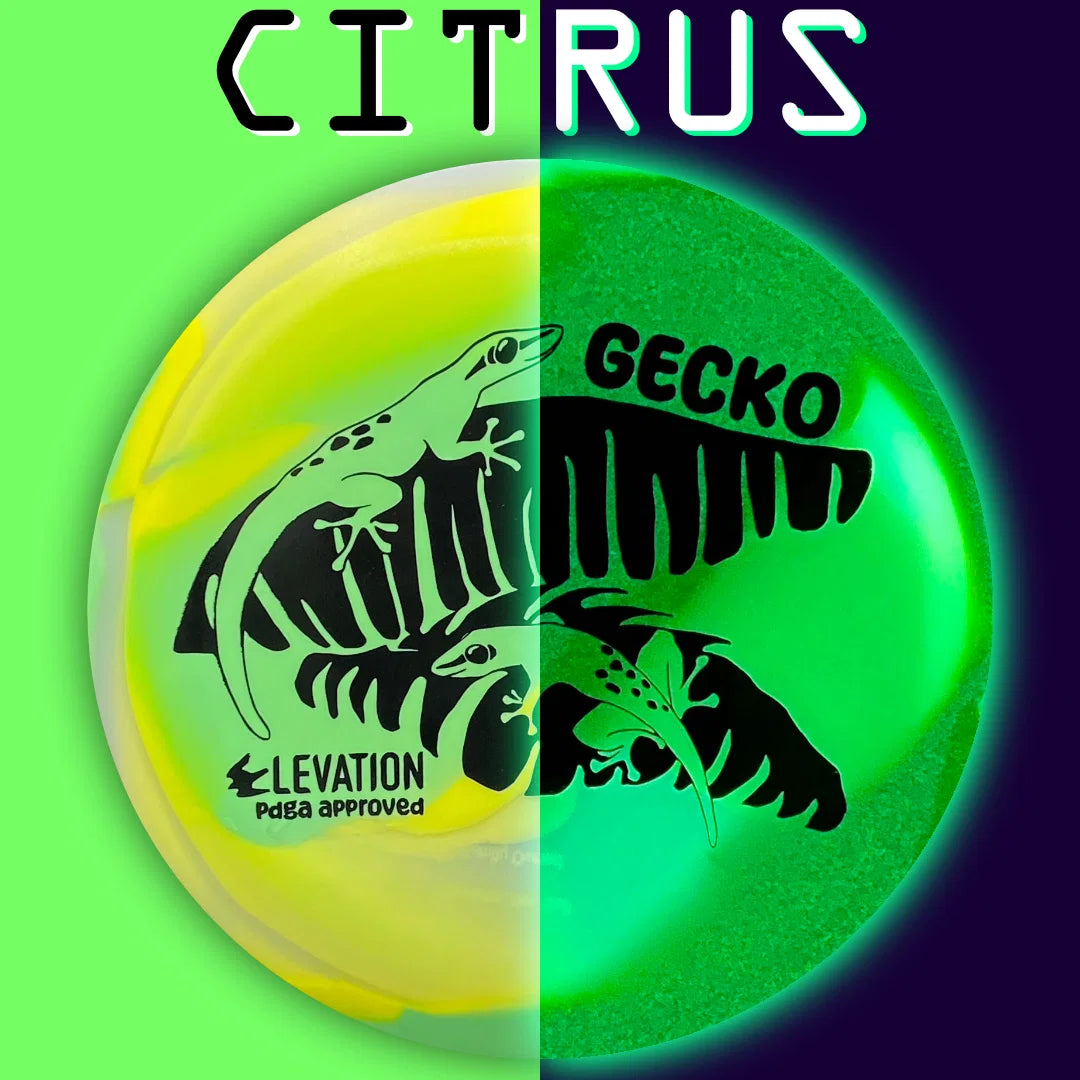 Gecko